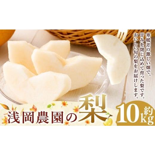 ふるさと納税 梨 大分県 九重町 浅岡農園の梨 約10kg 梨 なし ナシ くだもの 果物 フルーツ 果実 和梨 王秋 にっこり 愛宕 大分県 九重町 2026年11月下旬発送…
