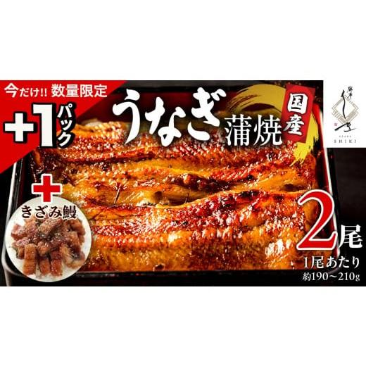 ふるさと納税 うなぎ 茨城県 牛久市 今だけ +1パック 12/21入金確認分まで年内お届け 麻布しき 国産 鰻 蒲焼 × 2尾 鰻祭り うなぎ ウナギ 冷凍 おいしい 蒲…