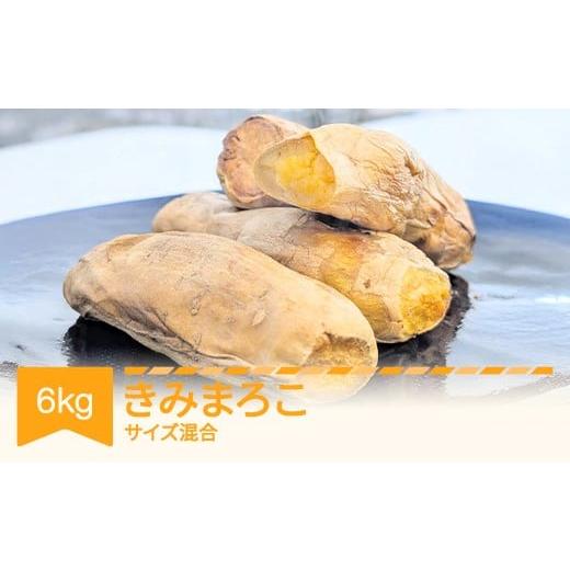 ふるさと納税 野菜類 サツマイモ 山形県 村山市 先行予約 さつまいも きみまろこ 土付き 約6kg 村山市産 2026年産 令和8年産 山形県産 沖縄・離島への配送不…