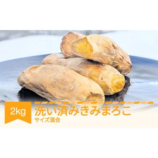 ふるさと納税 野菜類 サツマイモ 山形県 村山市 先行予約 さつまいも きみまろこ 洗い 約2kg 村山市産 2026年産 令和8年産 山形県産 芋 沖縄・離島への配送不…