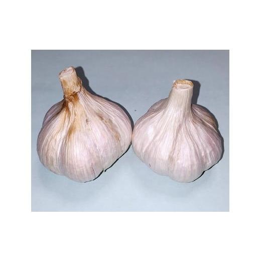 ふるさと納税 人参・大根・他根菜 兵庫県 上郡町 にんにくSサイズ(栽培期間中農薬不使用)約800g | 野菜 やさい にんにく ニンニク 兵庫県 上郡町