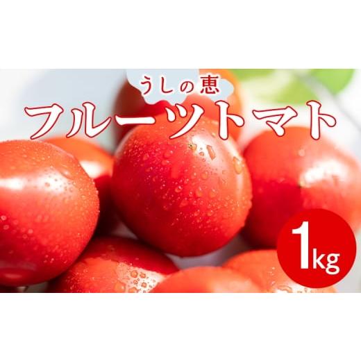 ふるさと納税 野菜類 トマト 高知県 香南市 野菜ソムリエが育てた うしの惠フルーツトマト 1kg(500g×2) 甘い フルーツトマト 高知 アレンジ サラダ 鍋 サンド…