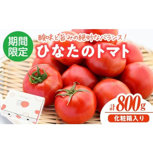 ふるさと納税 野菜類 トマト 宮崎県 門川町 先行予約受付中 2026年2月から5月の間に発送予定 門川ひなたのトマト(800g×1箱) 高糖度 トマト フルーツトマト …