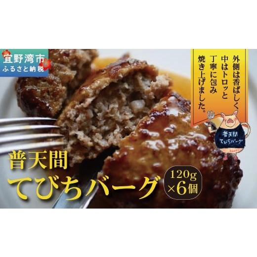 ふるさと納税 豚肉 ハンバーグ 沖縄県 宜野湾市 普天間てびちハンバーグ 120g×6個 | BISTROT LIERRE BLANC II | 沖縄県産 豚肉 てびち 豚足 ハンバーグ | 冷…