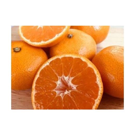 ふるさと納税 果物類 みかん 佐賀県 伊万里市 佐賀美人(みかん) 約4.5kg