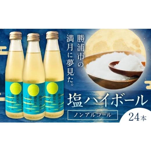 ふるさと納税 炭酸飲料 千葉県 勝浦市 塩ハイボール 24本 勝浦の満月に夢見た塩ハイボール [30日以内に出荷予定(土日祝除く)] ノンアルコール アルコールフ…