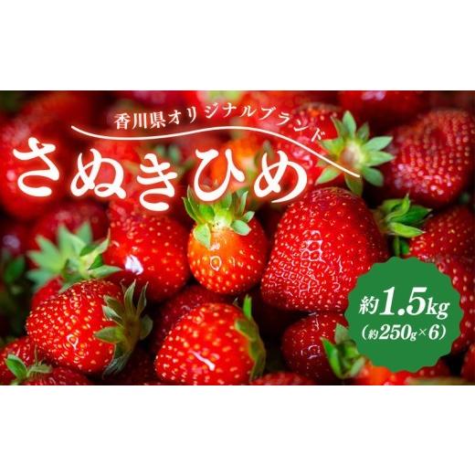 ふるさと納税 ぶどう 香川県 丸亀市 2027年発送 先行予約 いちご さぬきひめ 約1.5kg (250g×6) 果物 フルーツ 苺 デザート スイーツ ケーキ ジュース ゼリー…