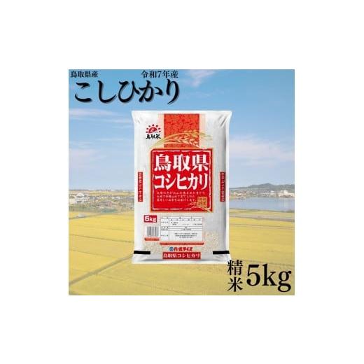 ふるさと納税 米 コシヒカリ 鳥取県 湯梨浜町 383KZ.鳥取県産こしひかり 精米5kg 令和7年産 こしひかり精米5kg×1袋(令和7年産)