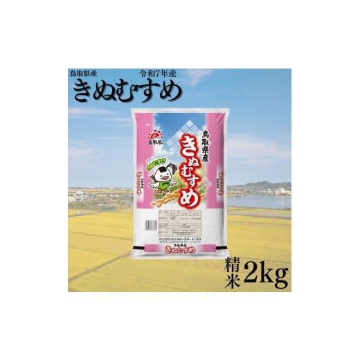 ふるさと納税 米 きぬむすめ 鳥取県 湯梨浜町 385KZ.鳥取県産きぬむすめ 精米2kg 令和7年産 きぬむすめ精米2kg×1袋(令和7年産)
