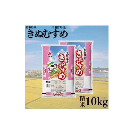 ふるさと納税 米 きぬむすめ 鳥取県 湯梨浜町 387KZ.鳥取県産きぬむすめ 精米10kg 令和7年産 きぬむすめ精米5kg×2袋(令和7年産)
