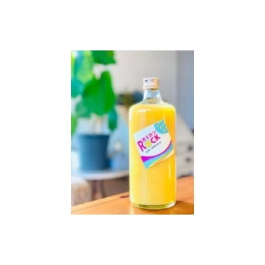 ふるさと納税 果汁飲料 みかん 神奈川県 逗子市 神奈川SDG's 青ミカンROCKビタースカッシュ3本&青ミカンハーブティセット みかん 青ミカン ミカン スカ…