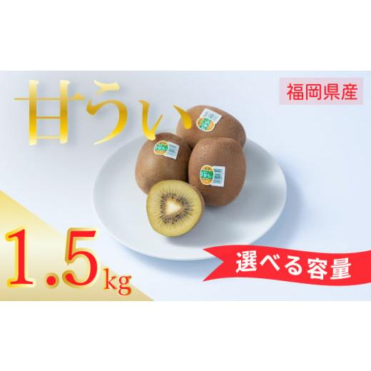 ふるさと納税 マンゴー 福岡県 川崎町 先行予約 2026年10月下旬〜11月末発送 福岡限定 ブランドキウイ「甘うぃ(あまうぃ)」約1.5kg箱(12-15玉) キウイ キウイ…