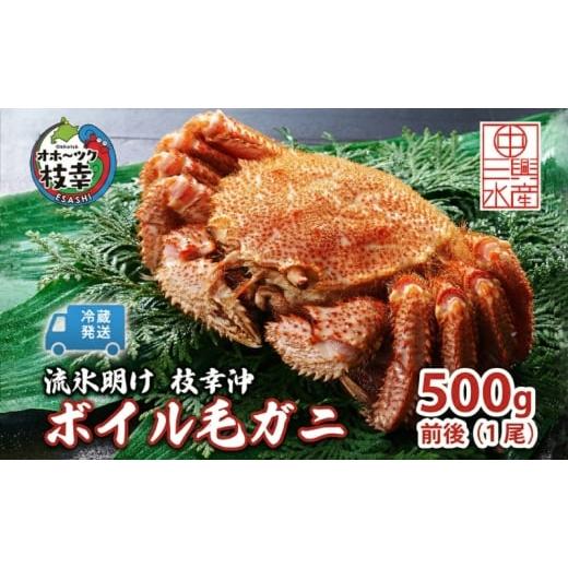 ふるさと納税 カニ 毛ガニ 北海道 枝幸町 [冷蔵発送]流氷明け 枝幸沖 ボイル毛ガニ 500g前後×1尾 先行予約 2026年3月頃発送予定 旬の味覚[丸中三興水産]…