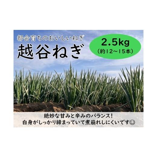 ふるさと納税 野菜類 ねぎ 埼玉県 越谷市 越谷ねぎ(白ねぎ2.5kg) / ネギ 葱 白ネギ 野菜 甘み 辛み 産直 産地直送 鍋 煮物 炒めもの アヒージョ 薬味 万能 …