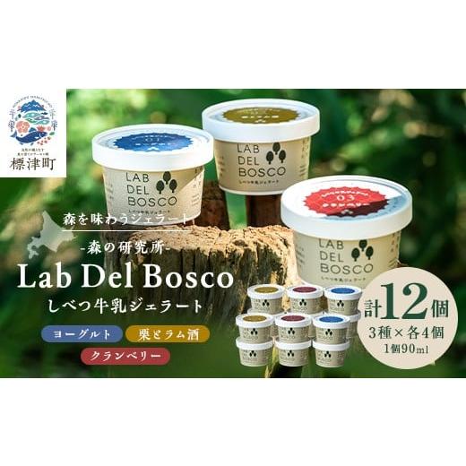 ふるさと納税 菓子 アイス 北海道 標津町 しべつ牛乳ジェラート 3種12個セット(ヨーグルト/栗とラム酒/クランベリー) 1701905