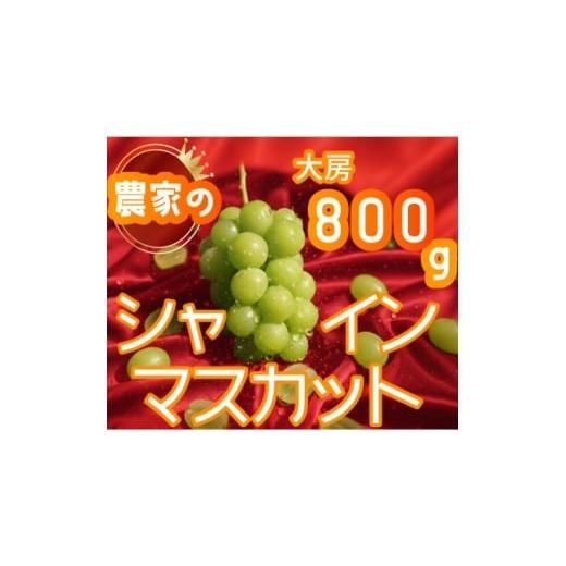 ふるさと納税 ぶどう 山梨県 山梨市 2026年先行予約 シャインマスカット 1房 800g 小さな農家のこだわりシャイン 1699610