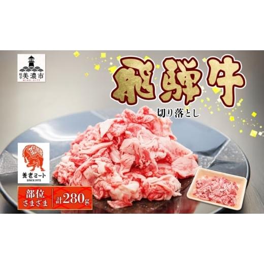 ふるさと納税 牛肉 岐阜県 美濃市   飛騨牛 切り落とし 280g×1P 国産 国産牛 牛肉 肉 牛 日本産 和牛 BBQ 焼き肉 赤身 小分け 便利 冷凍保存 一…