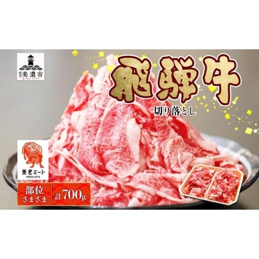 ふるさと納税 牛肉 岐阜県 美濃市   飛騨牛 切り落とし 350g×2P 国産 国産牛 牛肉 肉 牛 日本産 和牛 BBQ 焼き肉 赤身 小分け 便利 冷凍保存 一…