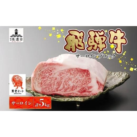 ふるさと納税 牛肉 サーロイン 岐阜県 美濃市   飛騨牛 サーロインブロック 5kg サーロイン ブロック サーロイン肉 ブロック肉 サーロインステー…