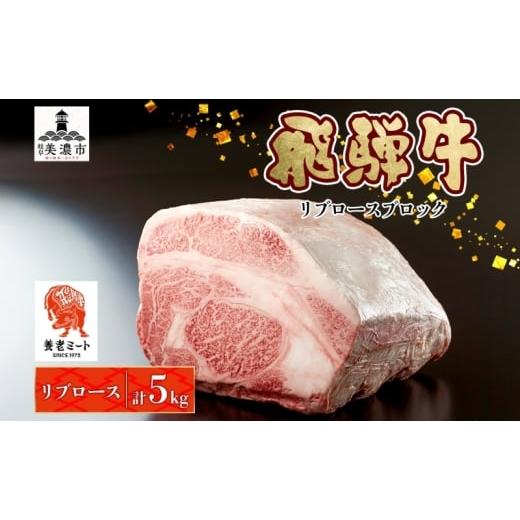ふるさと納税 牛肉 サーロイン 岐阜県 美濃市  No.5308-0538 飛騨牛 リブロースブロック 5kg リブロース リブロース肉 ブロック ブロック肉 リブロースステー…_1
