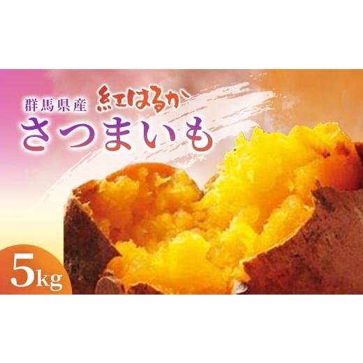 ふるさと納税 野菜類 サツマイモ 群馬県 安中市 群馬県産 紅はるか 5kg ふるさと納税 サツマイモ さつまいも 紅はるか スイーツ 国産 美容 ダイエット 健…
