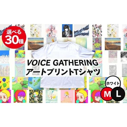 ふるさと納税 服 男 大阪府 箕面市 新登場 VOICE GATHERING アートプリントT-Shirt(Cyber Muse・Lサイズ・1枚) m103-01-kashimura01-L パルファン Cyber Muse…