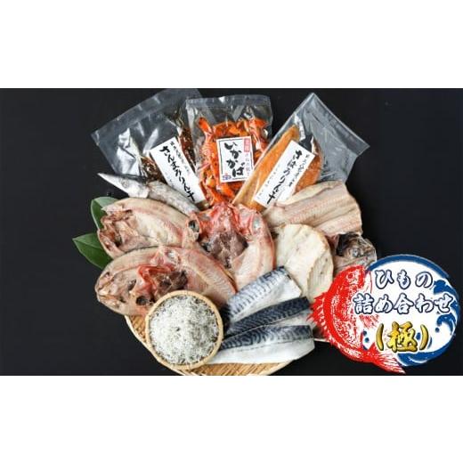 ふるさと納税 魚貝類 茨城県 日立市 ひもの詰め合わせ(極) 小松水産 茨城県 日立市