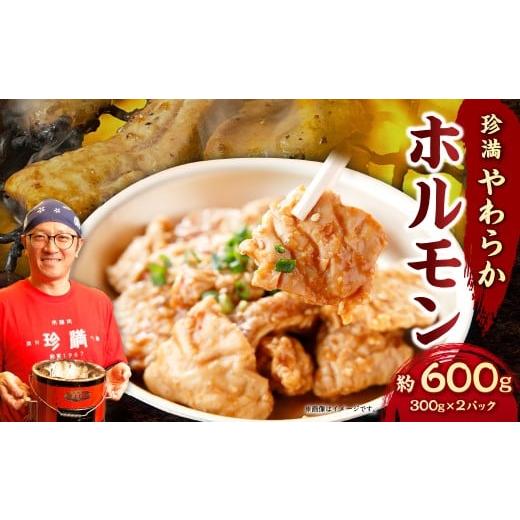 ふるさと納税 豚肉 ホルモン 神奈川県 大和市 珍満やわらかホルモン 約600g ホルモン 豚肉 料理 おつまみ バーベキュー 焼き肉 キャンプ セット 冷凍 神奈川県…