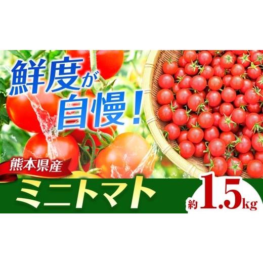 ふるさと納税 トマト ミニトマト 熊本県 玉名市 ミニトマト 約1.5kg | 野菜 トマト とまと ミニトマト みにとまと ミニ トマト 熊本県 玉名市 ミニトマト | 寄…