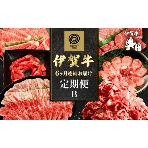 ふるさと納税 牛肉 三重県 名張市 伊賀牛 6ヶ月連続お届け 定期便 B 伊賀牛切り落とし 焼肉セット5人盛り すき焼きセット 伊賀牛ステーキセット 伊賀牛ユッケ …