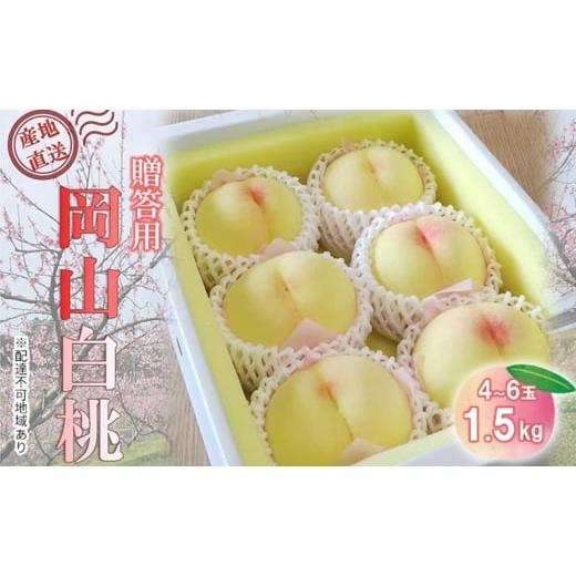 ふるさと納税 もも 岡山県 里庄町 桃 2026年 先行予約 贈答用 岡山白桃 約1.5kg(4〜6玉) もも モモ 岡山県 国産 フルーツ 果物