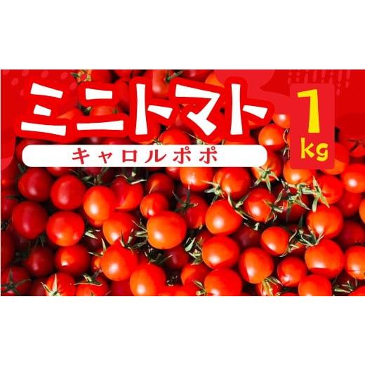 ふるさと納税 トマト ミニトマト 岐阜県 下呂市 先行予約(2026年8月上旬頃から順次発送)ミニトマト(キャロルポポ) 1kg ミニトマト 夏季限定 期間限定 限定…