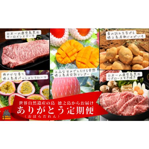 ふるさと納税 牛肉 ステーキ 鹿児島県 徳之島町 2536 世界自然遺産の島 徳之島 ありがとう(おぼらだれん)定期便 ( 定期便 5等級 鹿児島黒牛 果物 野菜 牛肉…
