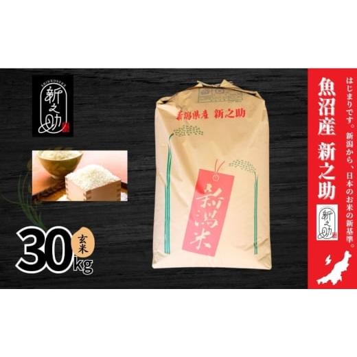 ふるさと納税 玄米 新潟県 十日町市 令和7年産 魚沼産新之助(玄米)30kg 米 お米 玄米 しんのすけ 中魚沼 新潟県 十日町市