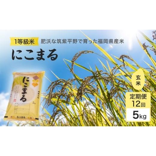 ふるさと納税 玄米 福岡県 小郡市 令和7年度 定期便 12回 米 1粒からこだわる1等級米 にこまる 玄米(5kg×12回) お米 コメ お楽しみ 12ヶ月 令和7年度産