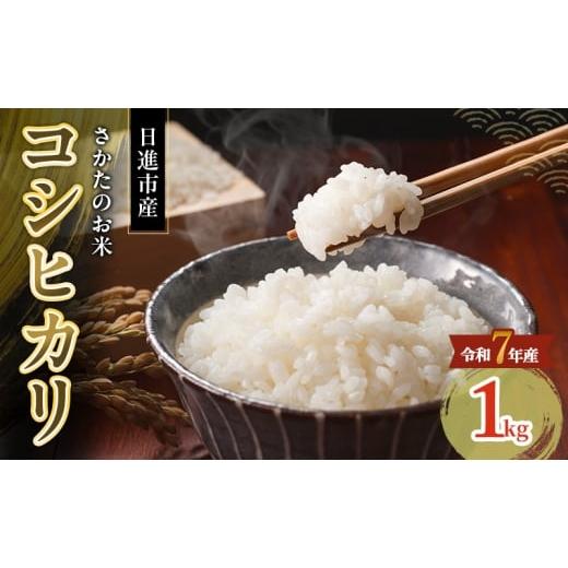 ふるさと納税 米 コシヒカリ 愛知県 日進市 令和7年度産 コシヒカリ さかたのお米 日進市産 1kg お米 白米 ライス 精米 ご飯 おにぎり お弁当 和食 もっちり …