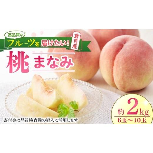 ふるさと納税 もも 鳥取県 倉吉市 期間限定 生産者応援品 令和8年産 まなみ 2kg 6玉〜10玉(桃) フルーツ 先行予約 桃 倉吉産 ブランド桃 果物 生産者応援 …