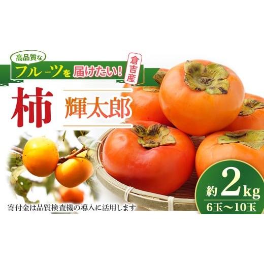 ふるさと納税 果物類 柿 鳥取県 倉吉市 期間限定 生産者応援品 令和8年産 輝太郎 2kg 6玉〜10玉(柿) フルーツ 先行予約 柿 倉吉産 ブランド柿 果物 生産者…
