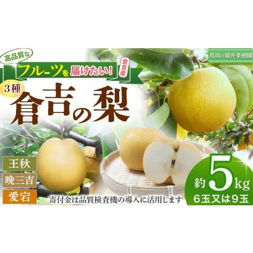 ふるさと納税 梨 鳥取県 倉吉市 期間限定 生産者応援品 令和8年産 倉吉の梨 3種ミックス(王秋・晩三吉・あたご)計5kg 王秋 晩三吉 あたご梨 倉吉産 梨 ナシ…