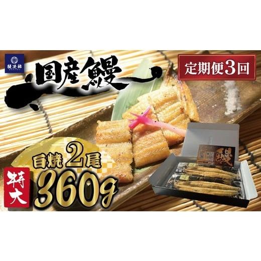 ふるさと納税 うなぎ 大阪府 泉大津市 定期便3ヶ月 特大 国産 関西風地焼き うなぎ 白焼 2尾 360g以上 | うなぎ 泉大津 鰻 蒲焼き 冷凍鰻 活鰻 鰻次郎 うな…