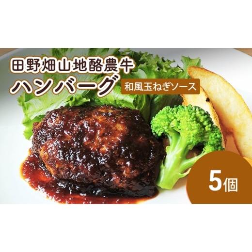 ふるさと納税 牛肉 ハンバーグ 岩手県 盛岡市 田野畑山地酪農牛ハンバーグ 和風玉ねぎソース 5個入り ハンバーグ 冷凍 小分け 個包装 湯煎 温めるだけ 簡単 牛…