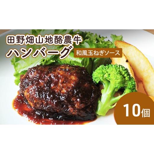 ふるさと納税 牛肉 ハンバーグ 岩手県 盛岡市 田野畑山地酪農牛ハンバーグ 和風玉ねぎソース 10個 牛肉 肉 牛 惣菜 おかず お弁当 冷凍 小分け 個包装 湯煎 温…