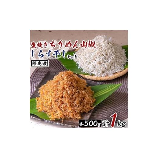 ふるさと納税 魚貝類 ちりめん 愛知県 南知多町 篠島産 生炊きちりめん山椒・しらす干しセット 計1kg