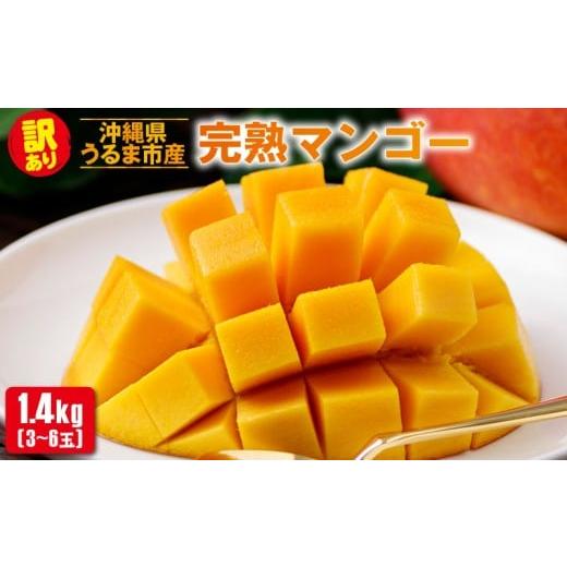 ふるさと納税 マンゴー 沖縄県 うるま市 沖縄県 うるま市産 完熟 マンゴー 訳あり品 1.4kg 2026年発送