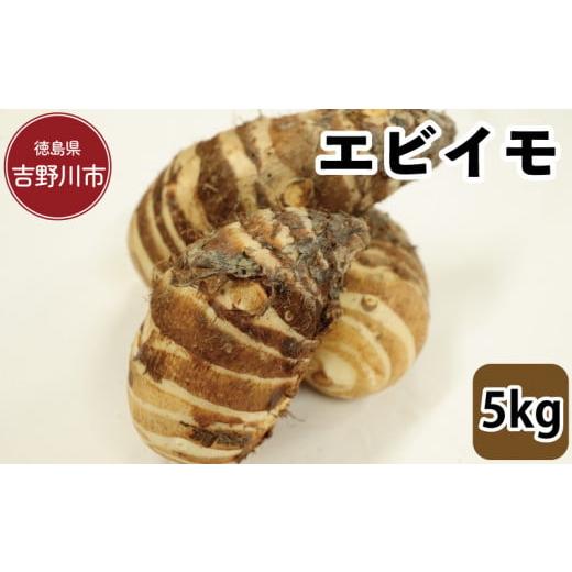 ふるさと納税 エビ 徳島県 吉野川市 エビイモ 5kg 2025年10月上旬〜発送予定 先行予約 海老芋 食材 高級 和食 家庭用 伝統野菜 グルメ 取り寄せ 旬 京野菜 煮…