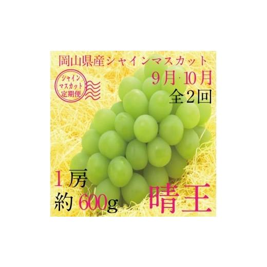 ふるさと納税 ぶどう マスカット 岡山県 玉野市 定期便 全2回 ぶどう 2026年 先行予約 9月・10月発送 シャインマスカット 晴王 1房 約600g ブドウ 葡萄 岡山…