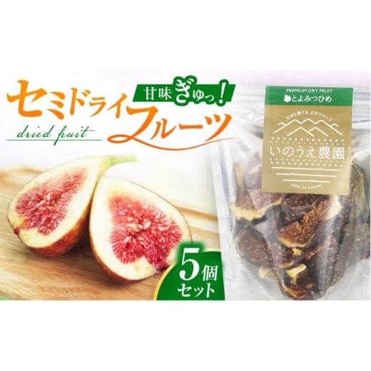 ふるさと納税 いちじく 福岡県 広川町 福岡ブランド とよみつひめセミドライフルーツ5個セット 広川町 / 亀井通産(株)