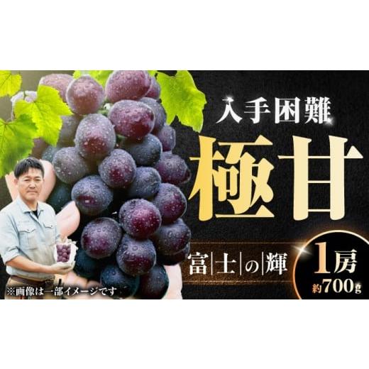 ふるさと納税 ぶどう 福岡県 広川町 富士の輝 1房(約700g) 広川町 / 井上農園