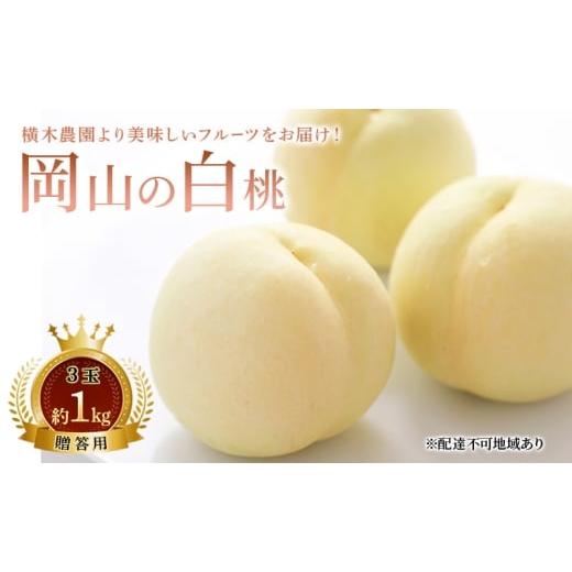 ふるさと納税 もも 岡山県 瀬戸内市 桃 2026年 先行予約 岡山の白桃 3玉 約1kg 贈答用 もも モモ 白桃 岡山白桃 岡山県産 国産 フルーツ 果物 ギフト 贈り物 …