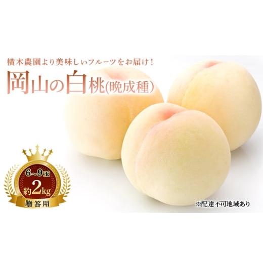ふるさと納税 もも 岡山県 瀬戸内市 桃 2026年 先行予約 岡山の白桃 (晩成種)6〜9玉 約2kg 贈答用 もも モモ 白桃 岡山白桃 岡山県産 国産 フルーツ 果物 ギ…